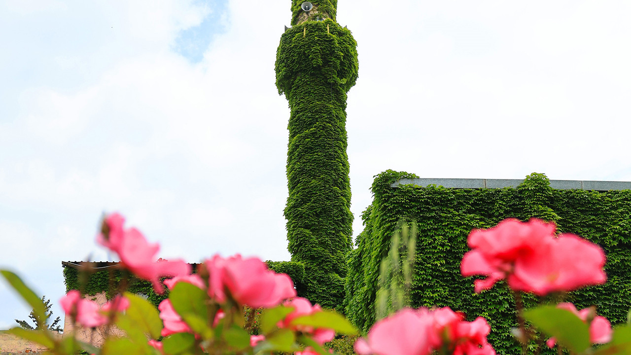 Dizi setlerinin vazgeçilmez adresiydi... Bahar geldi, o meşhur cami yeniden "yeşile" büründü