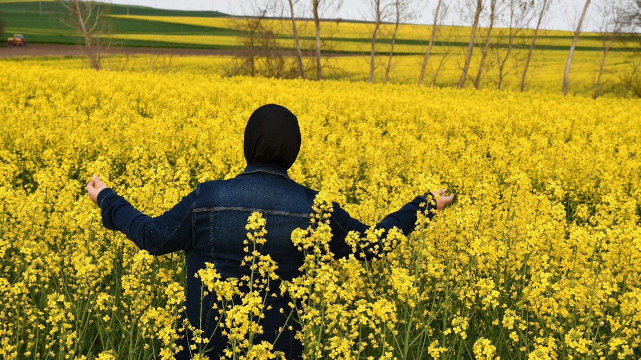Sarı gelinliğini giydi: Kırklareli’nden gelen bu görüntüler büyülüyor