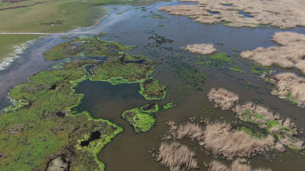 Yağışlar Eber Gölü’nü canlandırdı: Su seviyesi 4 katına çıktı