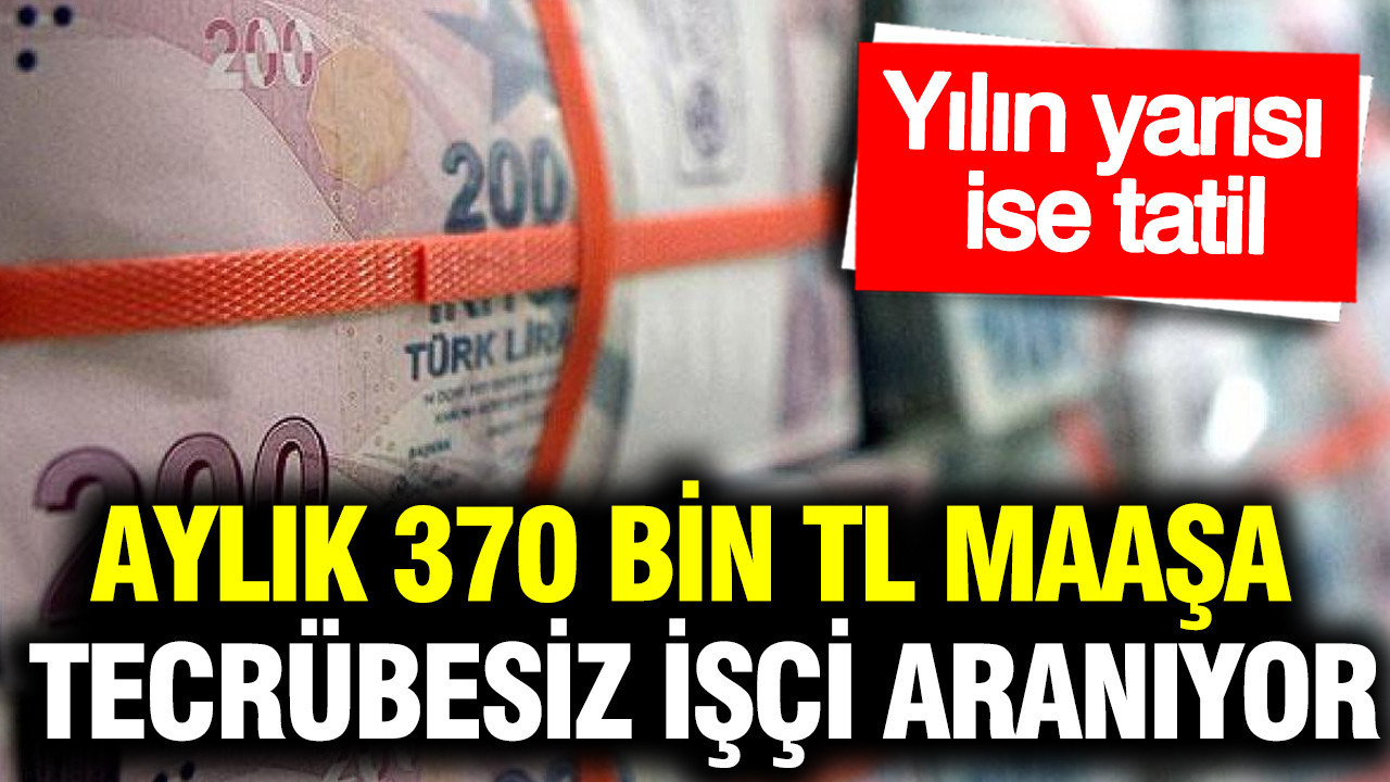 Aylık 370 bin TL maaşa tecrübesiz işçi aranıyor: Yılın yarısı da tatil