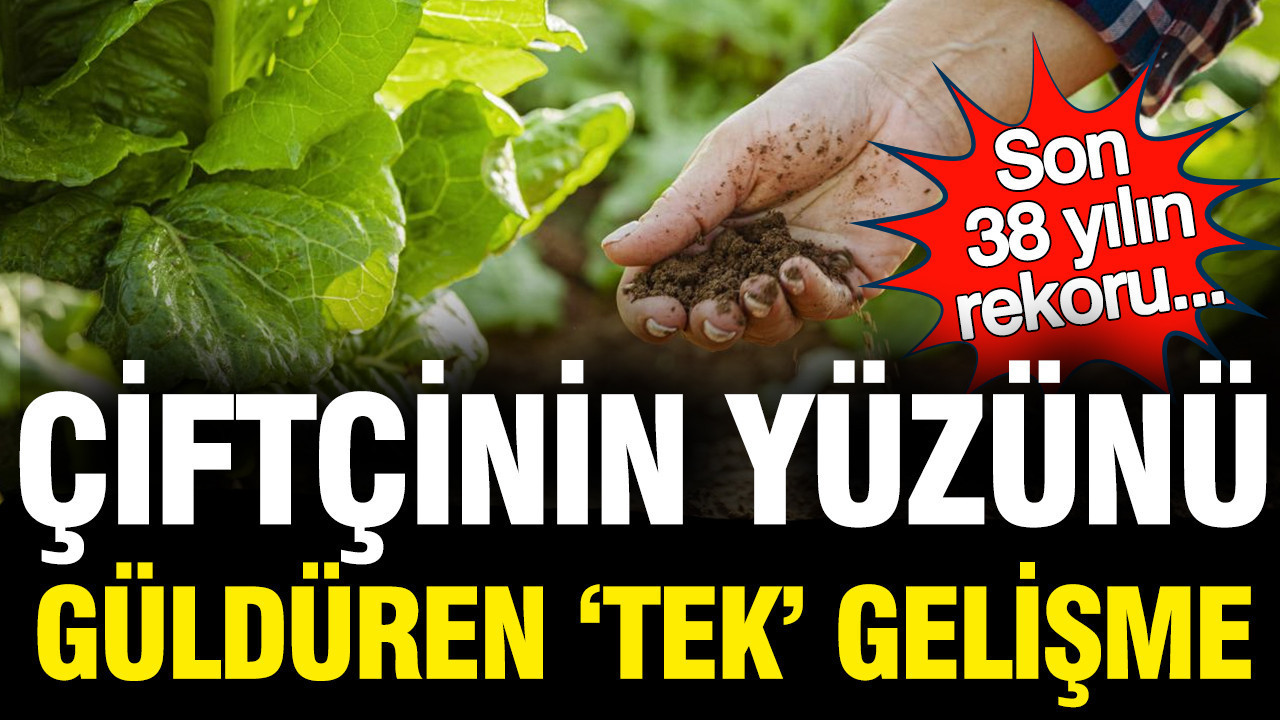 Çiftçinin yüzünü bir tek yağış güldürdü: Son 38 yılın rekoru