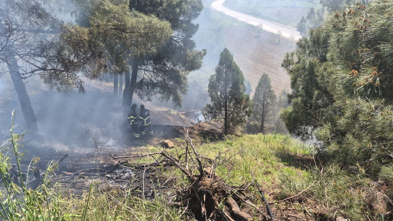Dursun Fakıh Türbesi civarındaki yangın korkuttu
