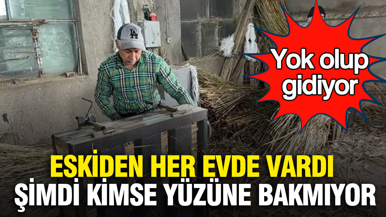 Eskiden her evde vardı, şimdi kimse yüzüne bakmıyor: Yok olup gidiyor