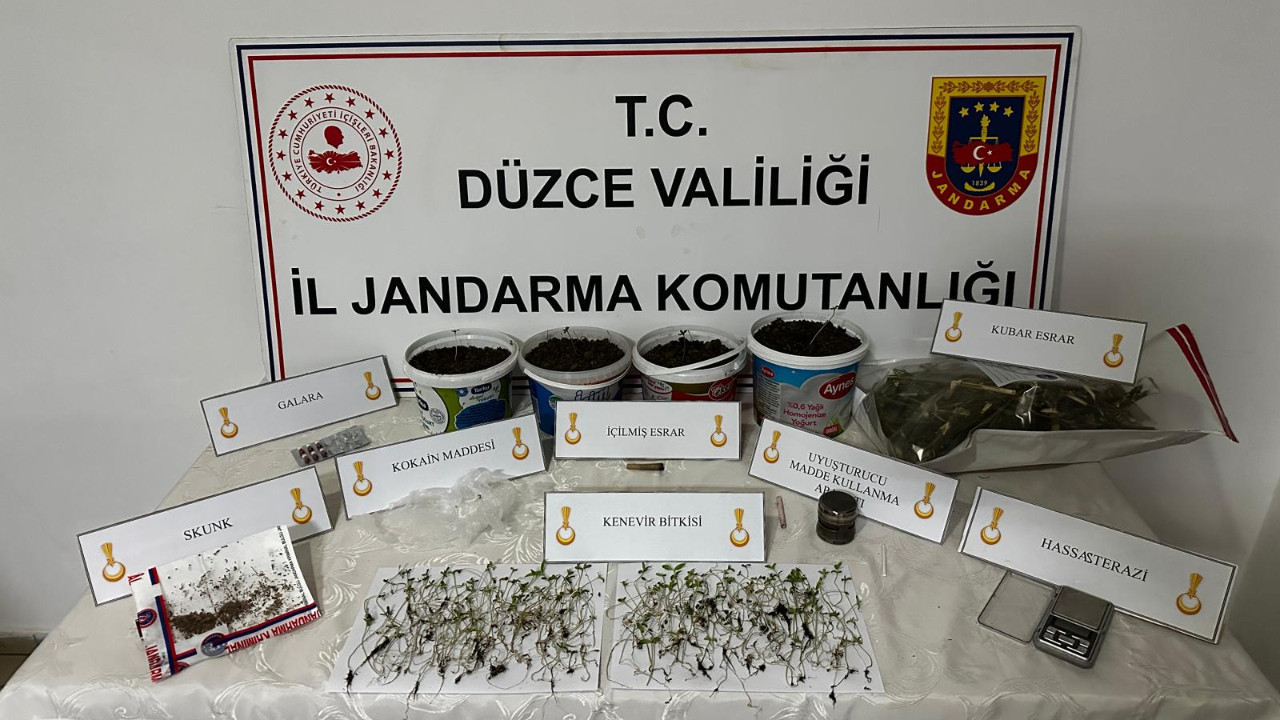 Evinde kenevir yetiştiren şüpheli baskınla gözaltına alındı