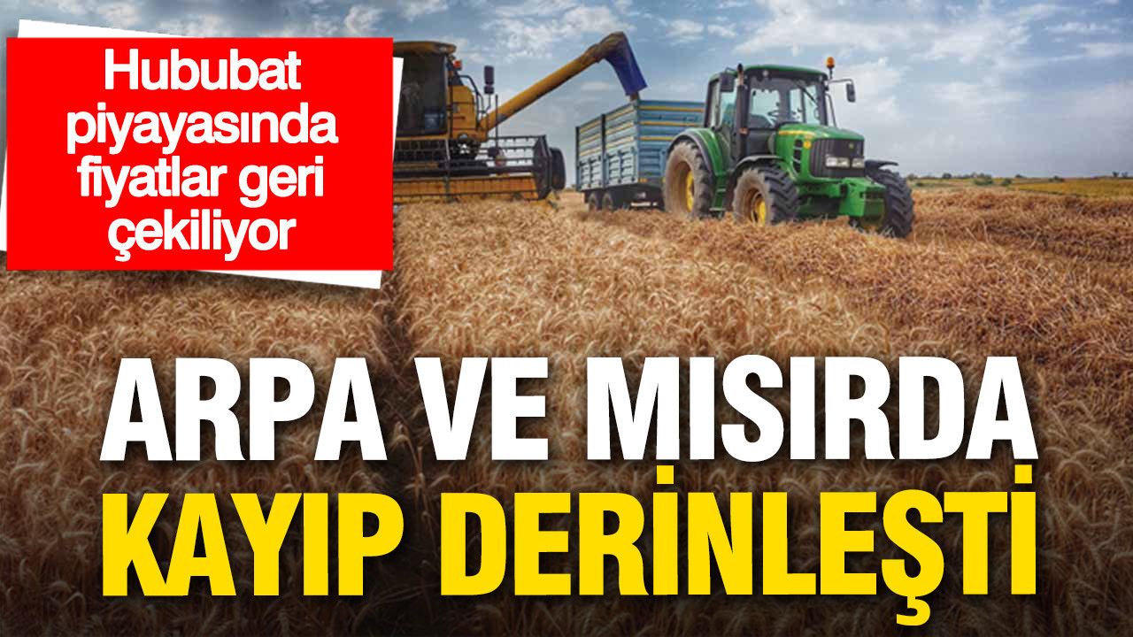 Hububat piyasasında fiyatlar geri çekiliyor: Arpa ve mısırda kayıp derinleşti