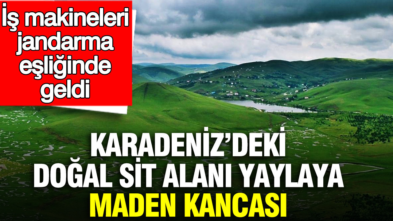 Karadeniz’deki doğal SİT alanı yaylaya maden kancası: İş makineleri jandarma eşliğinde geldi
