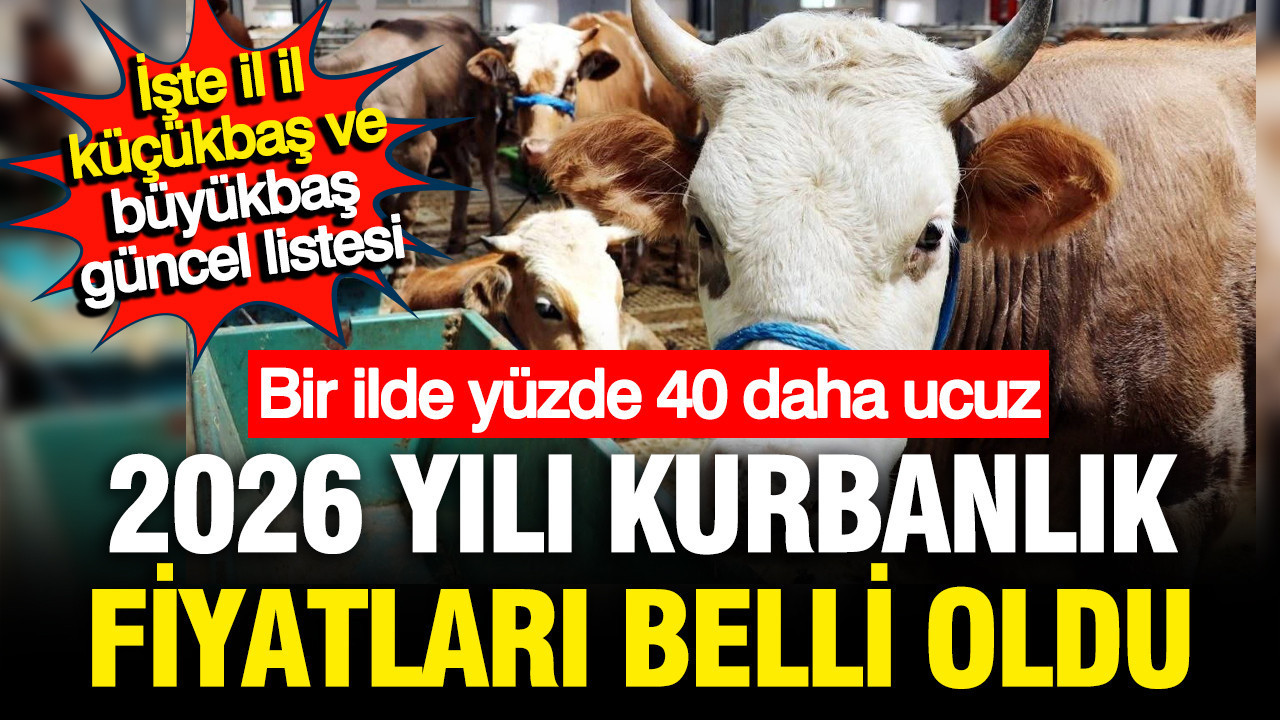 Kurbanlık fiyatları belli oldu, işte en ucuz il