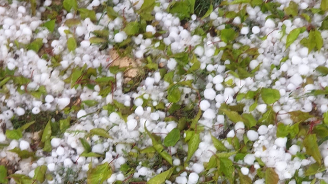 Malatya'da kayısıyı 'beyaz felaket' vurdu: Ceviz büyüklüğünde yağdı, bahçeler perişan