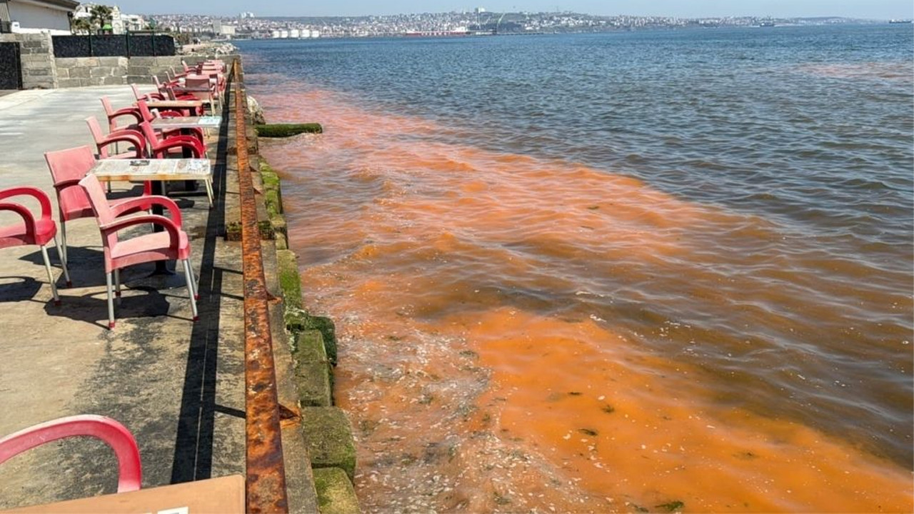 Tekirdağ kıyılarındaki renk değişiminin nedeni: Mevsimsel alg patlaması