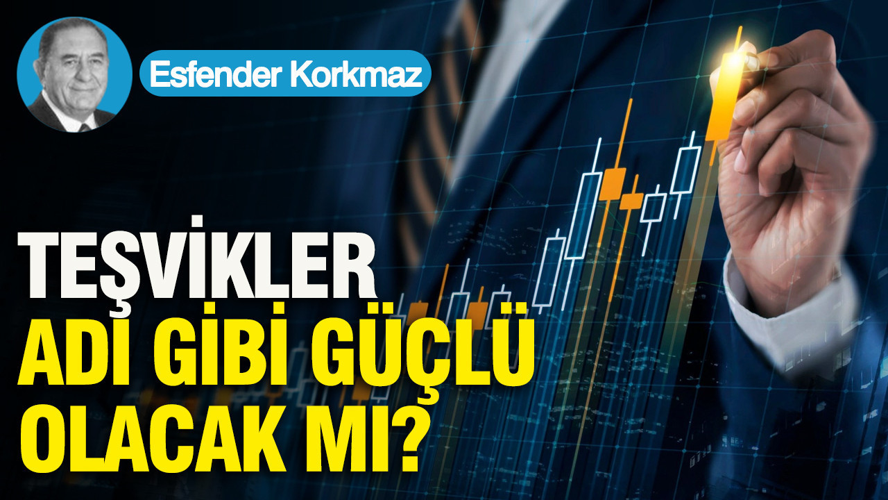 TEŞVİKLER ADI GİBİ GÜÇLÜ OLACAK MI? (I)