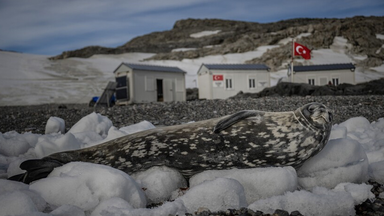 "Türk Antarktika Bilim Üssü" hazırlıkları tamamlandı
