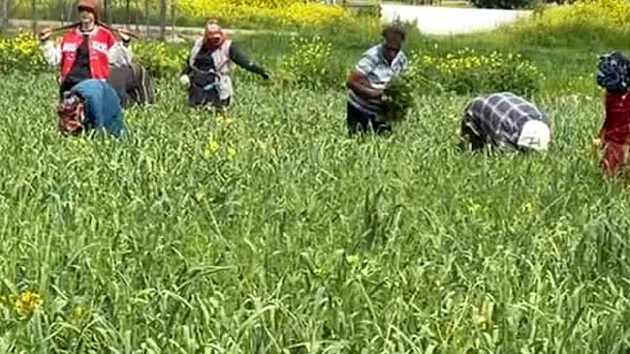 AB tescilli milli gurur: Türkiye’nin ihtiyacının %35’ini tek başına karşılıyor