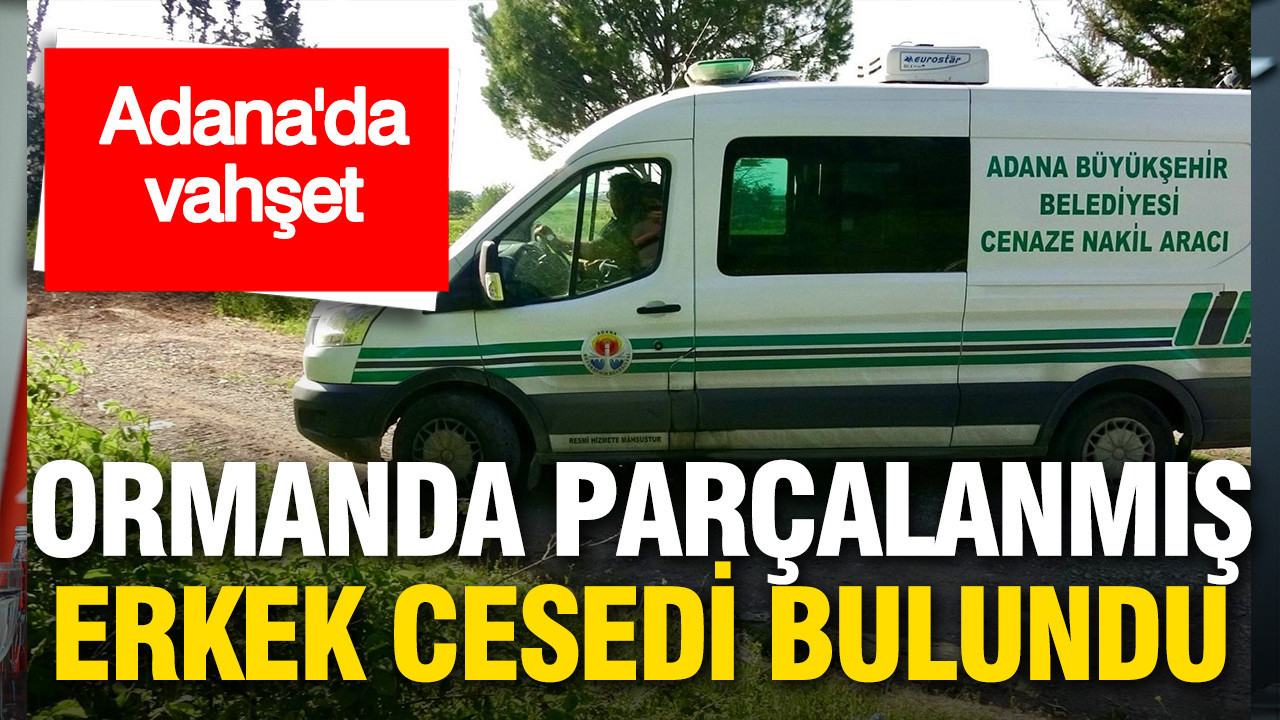 Adana’da ormanda parçalanmış erkek cesedi bulundu