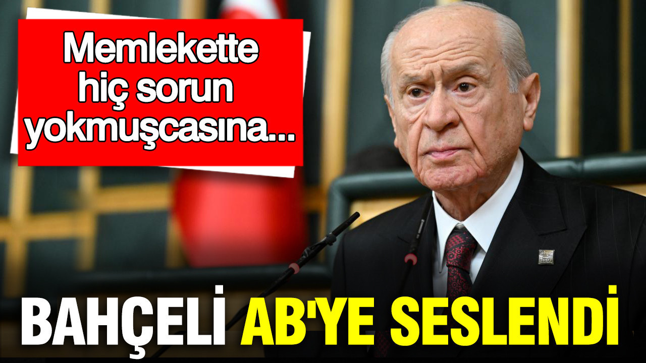 Bahçeli AB'ye seslendi: Memlekette hiç sorun yokmuşcasına...