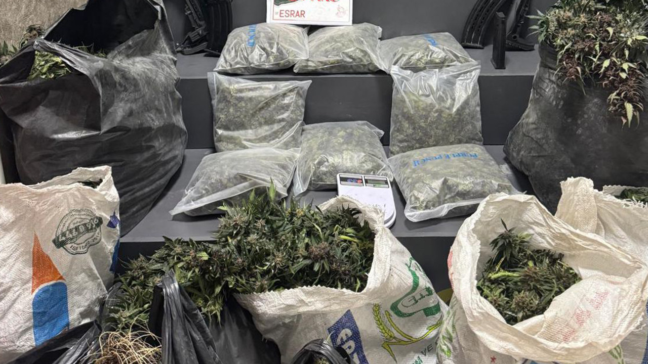 Basılan evden uyuşturucu serası çıktı