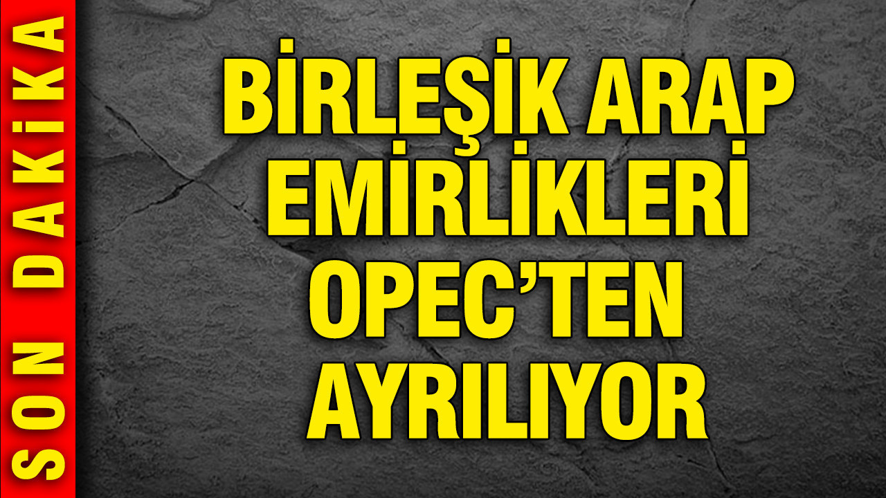Birleşik Arap Emirlikleri OPEC'ten ayrılıyor
