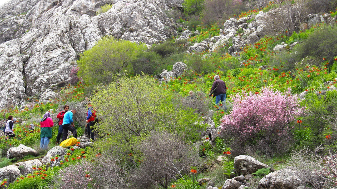 Dokunmanın bedeli tam 700 bin TL! Afşin’de 'ağlayan gelinler' göründü