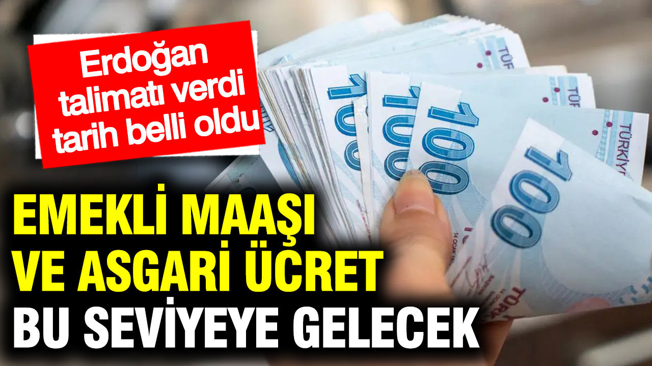 Emekli maaşı ve asgari ücret bu seviyeye gelecek: Erdoğan seçim talimatını verdi, tarih belli oldu
