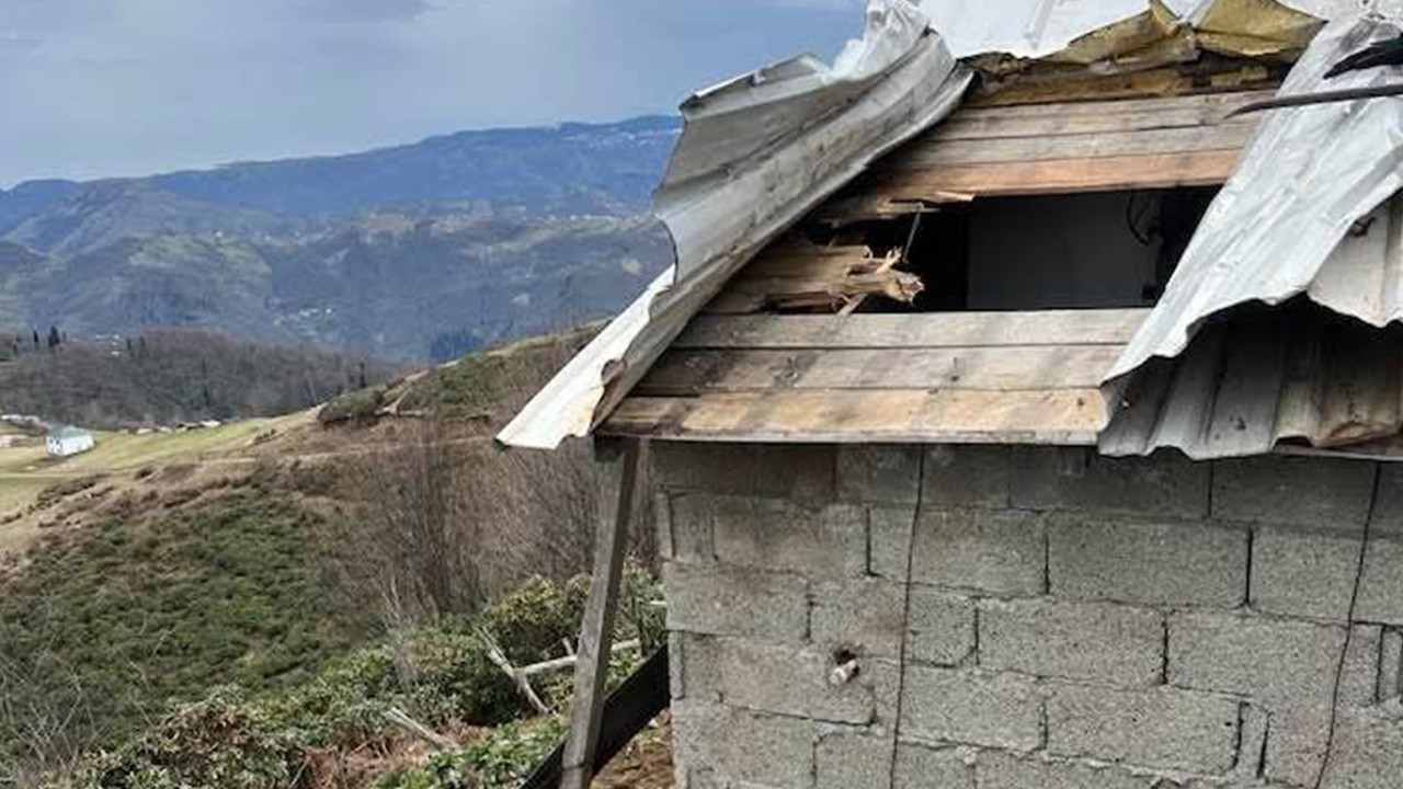 Karadeniz'de korkutan görüntüler: Kış uykusundan aç uyanan ayılar, kapı pencere bırakmadılar