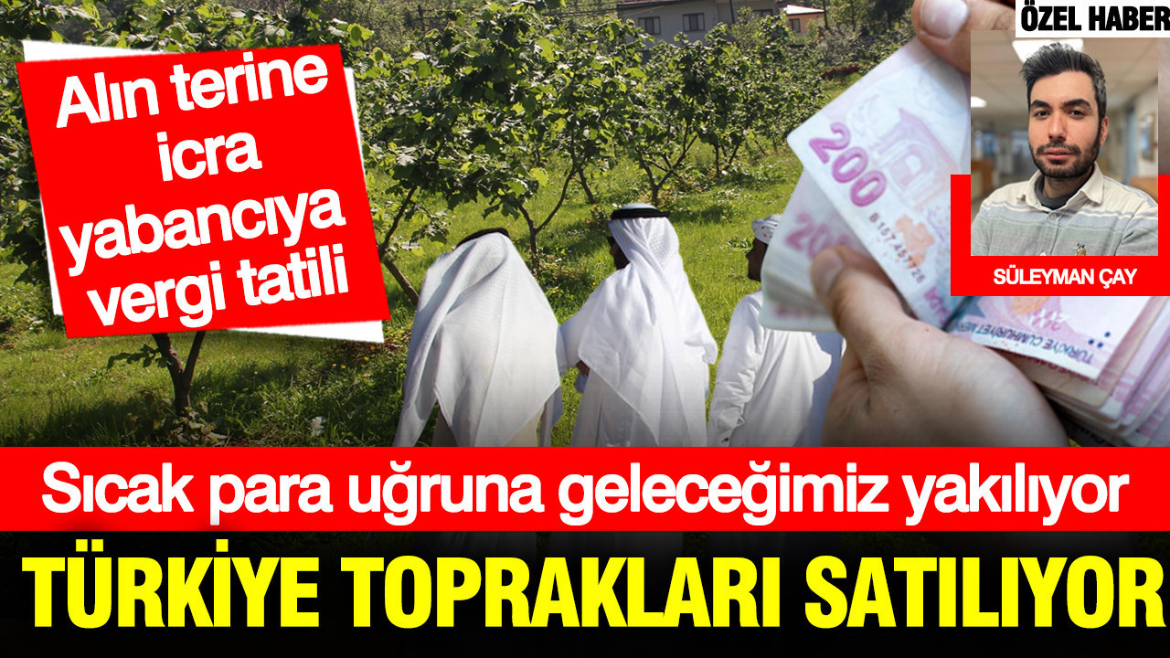 Sıcak para uğruna geleceğimiz yakılıyor: Türkiye toprakları satılıyor