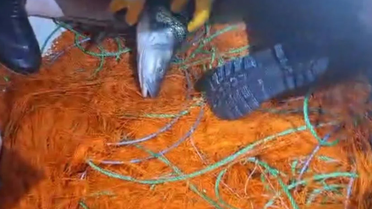 Tam 300 metre... Oltaya değil, ekiplere yakalandılar