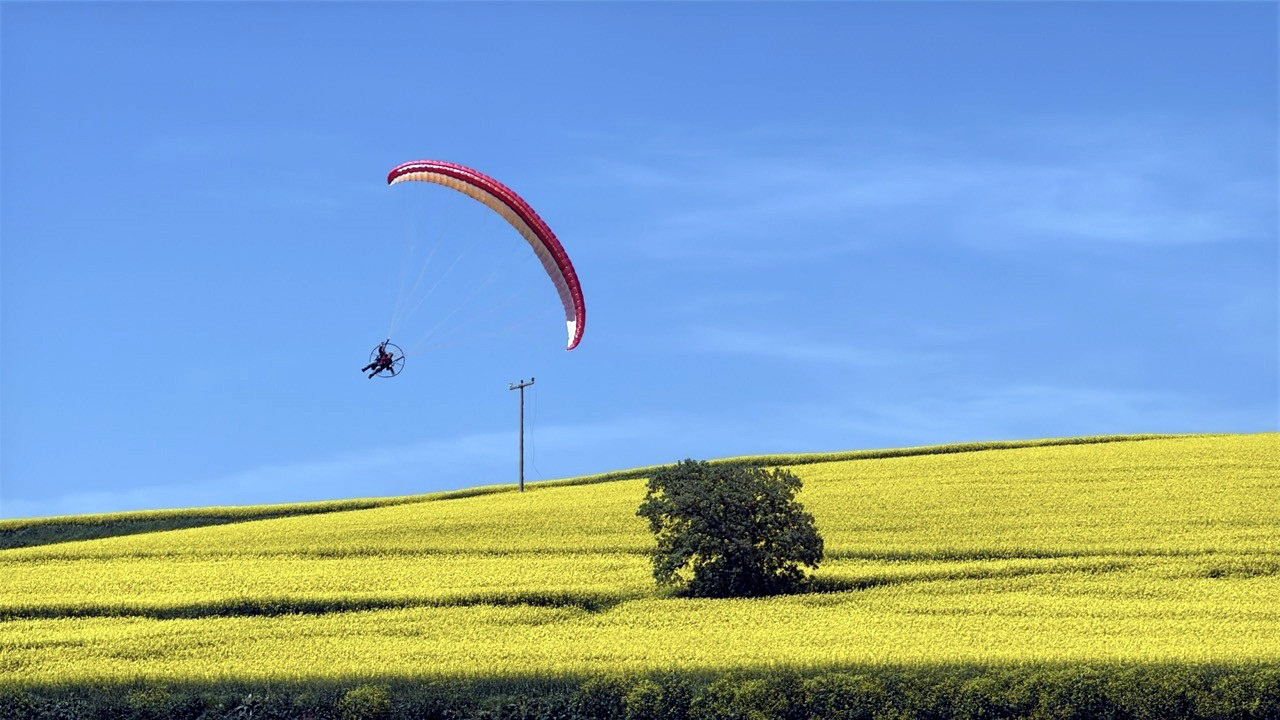 Tekirdağ ‘sar’ya boyandı: Kanola tarlaları üstünde kanat çırptı