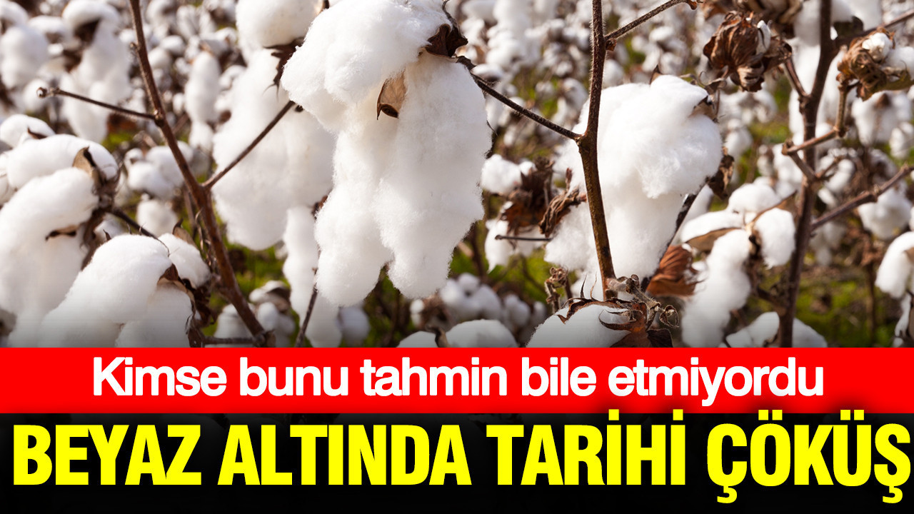 Beyaz altında tarihi çöküş