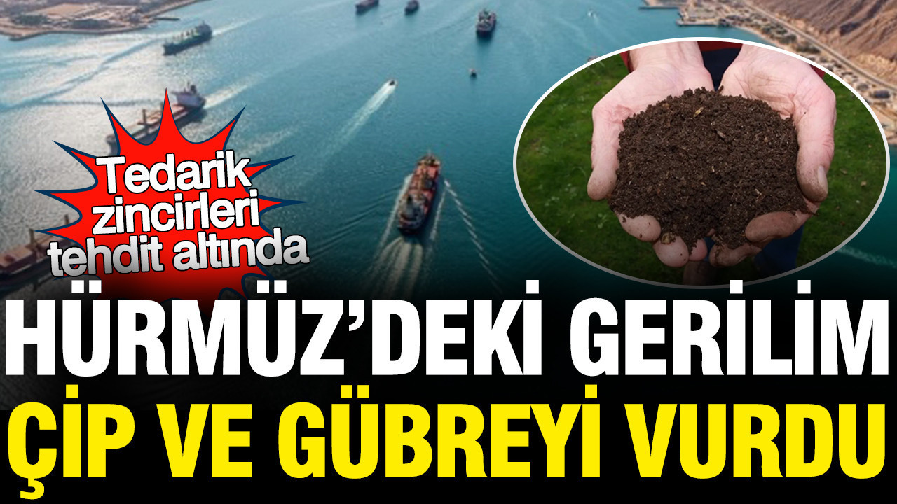 Hürmüz Boğazı'ndaki gerilim çip ve gübreyi vurdu
