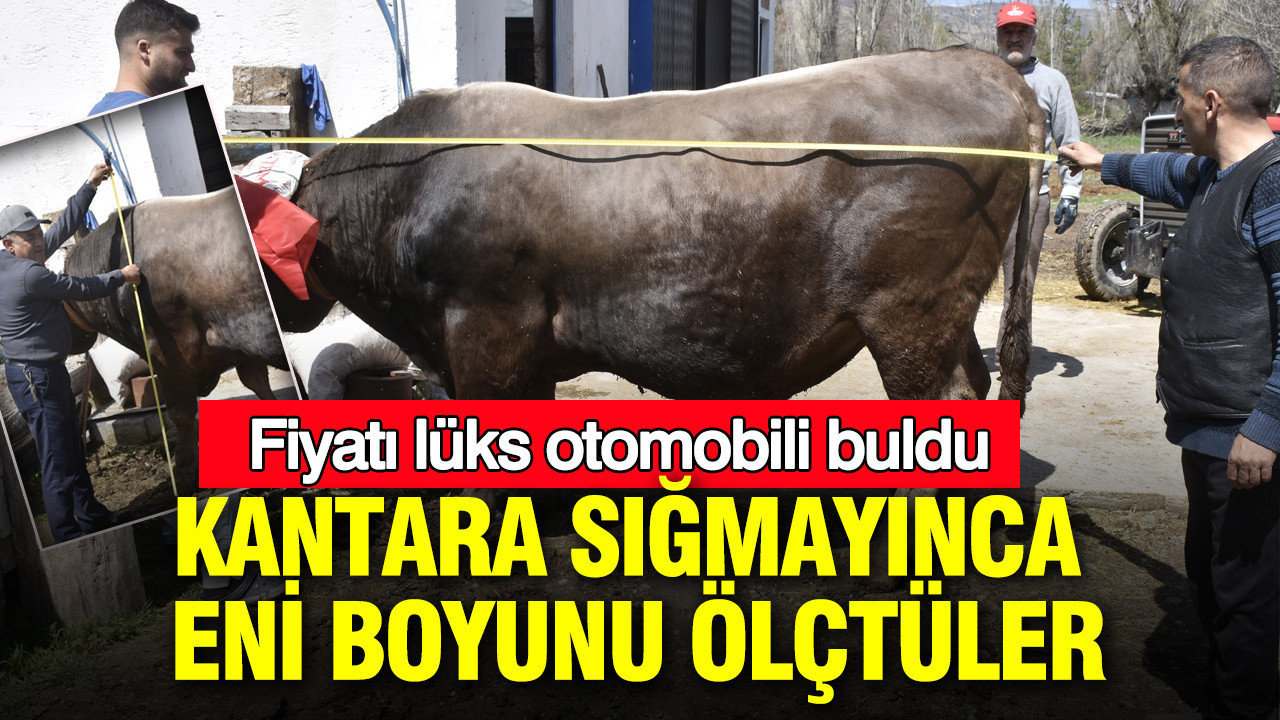 Kantara sığmadı: Lüks otomobil fiyatına: 2026 kurban fiyatları el yakıyor