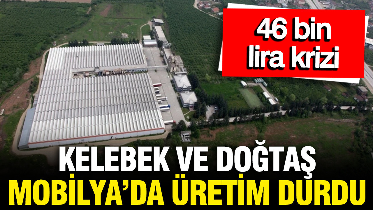 Kelebek Mobilya ve Doğtaş Mobilya'da üretim durdu: 46 bin lira krizi