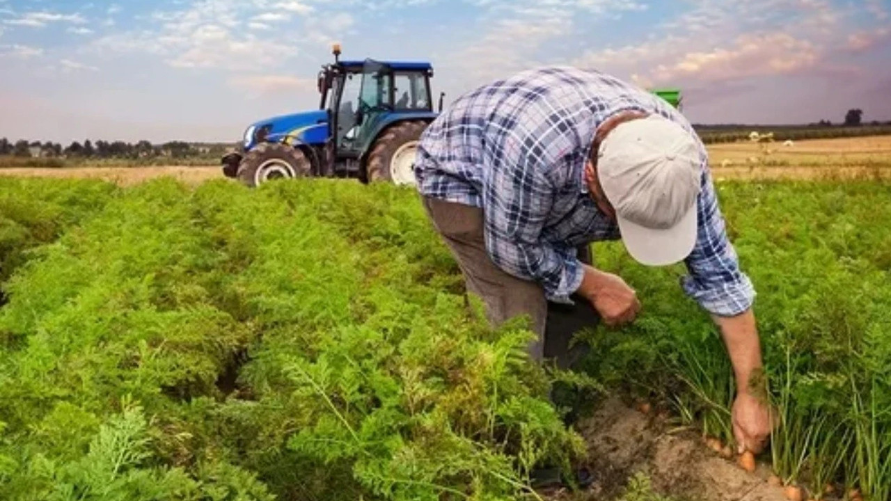 Kırsalda 10 milyar liralık dev hamle: Başvuru için tarih verildi