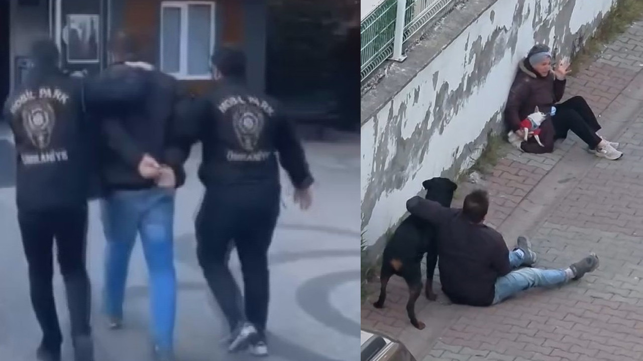 Ümraniye’de Rottweiler faciası: Talihsiz kadın çığlıkları yürekleri sızlattı