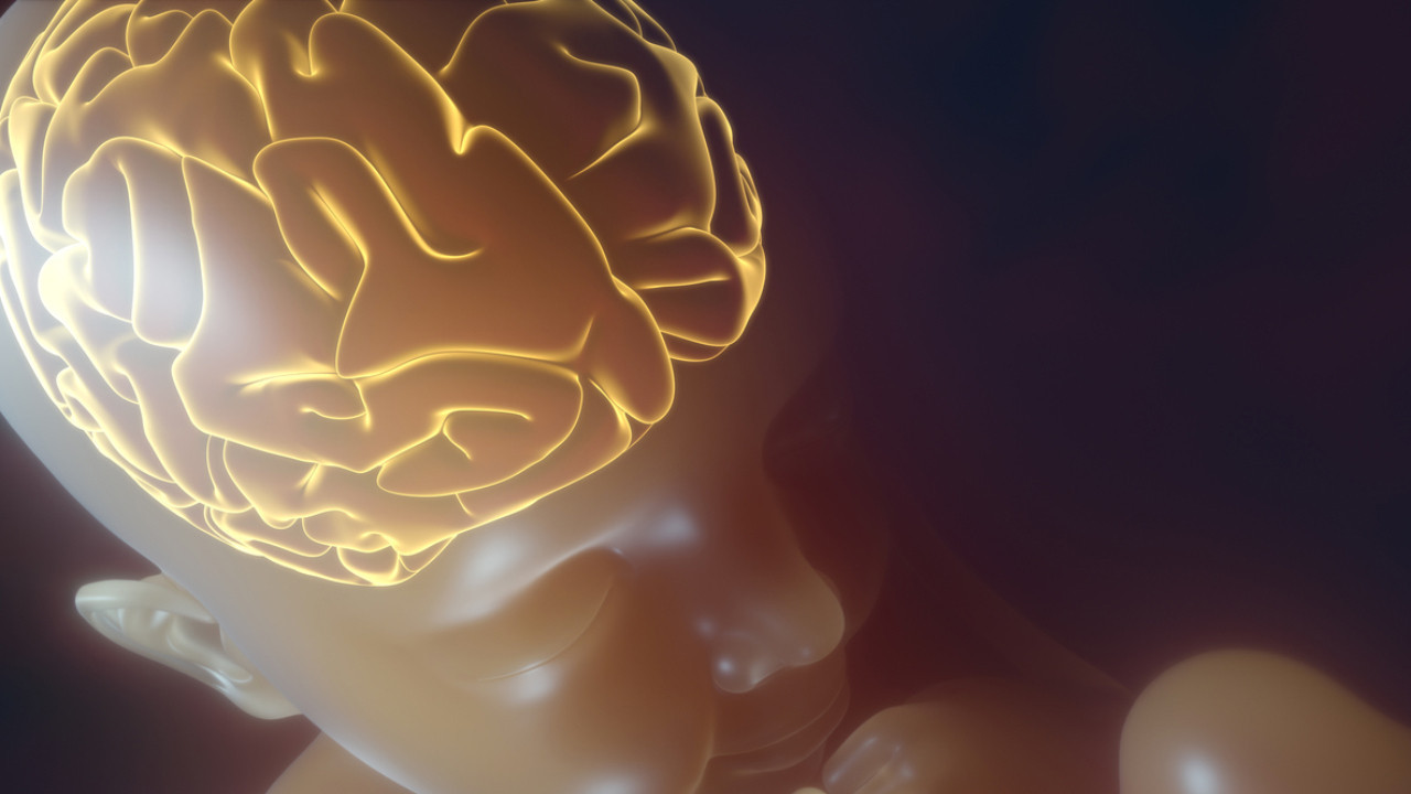 Sağlıklı nesiller için ailelere kritik uyarılar