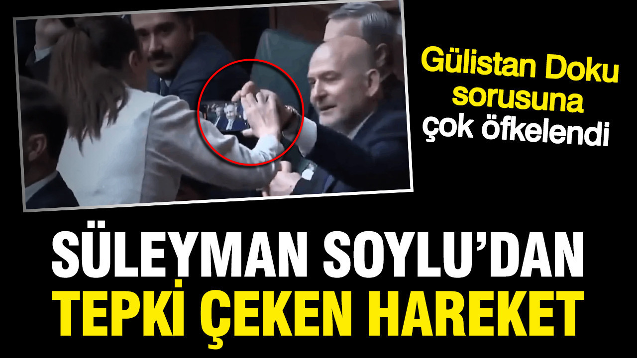 Süleyman Soylu Gülistan Doku'nun adını duyunca çok sinirlendi