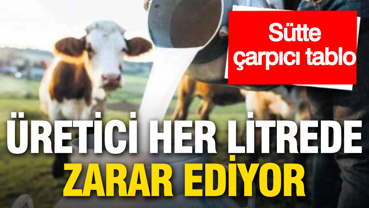 Sütte çarpıcı tablo: Üretici her litrede zarar ediyor