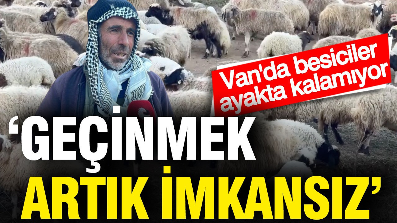 Van’da besiciler ayakta kalamıyor: “Geçinmek artık imkansız”
