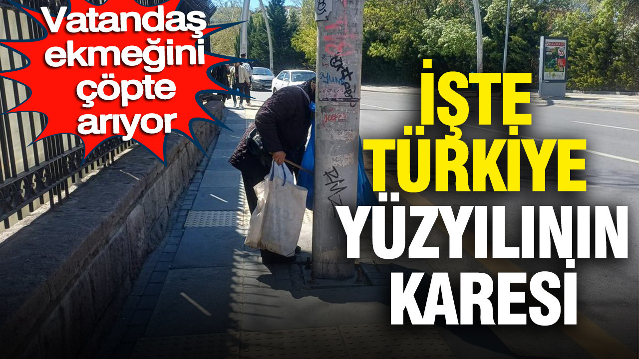 Vatandaş ekmeğini çöpte arıyor: İşte Türkiye Yüzyılı’nın karesi