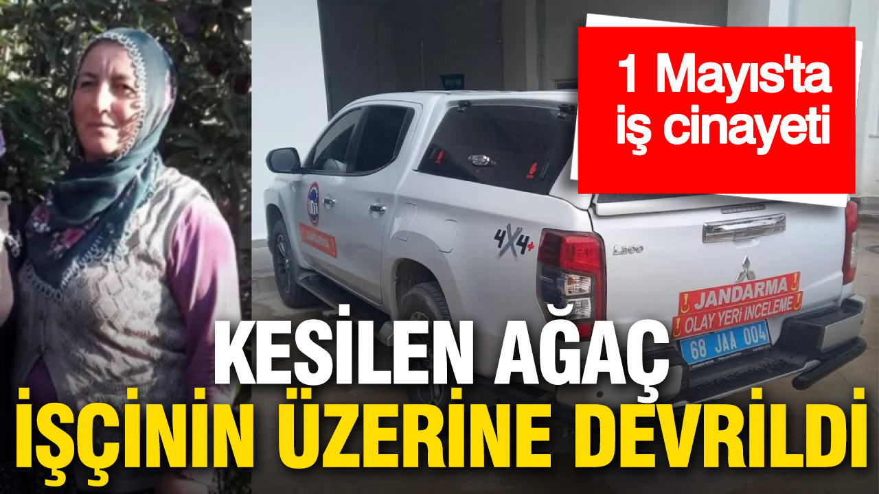 1 Mayıs’ta ölüm getiren ihmal: İşçi ağacın altında can verdi