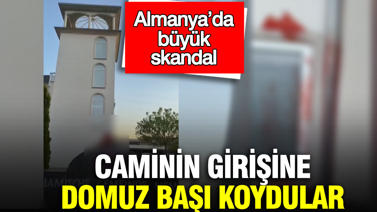 Almanya’da büyük skandal: Caminin girişine domuz başı koydular