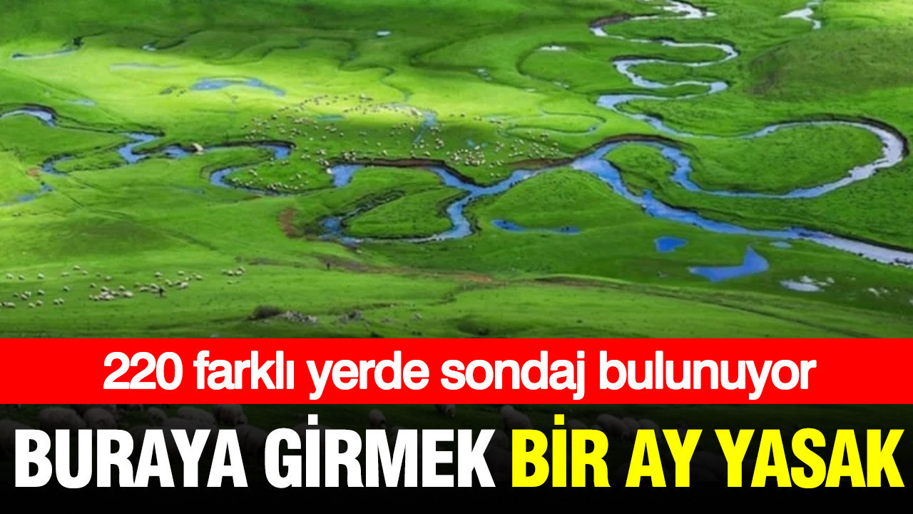 Buraya girmek bir ay yasak: 220 farklı yerde sondaj bulunuyor