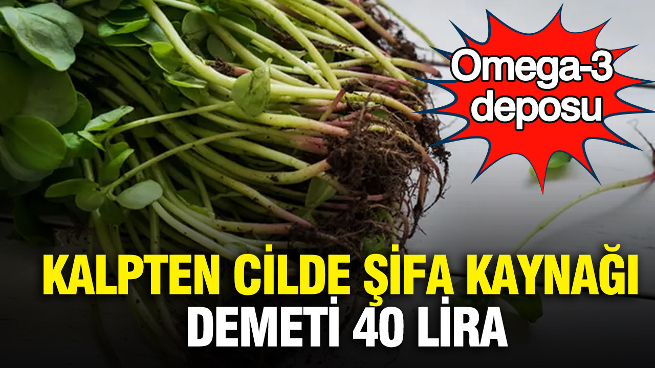 Omega-3 deposu: Kalpten cilde şifa kaynağı... Pazarda demeti 40 lira