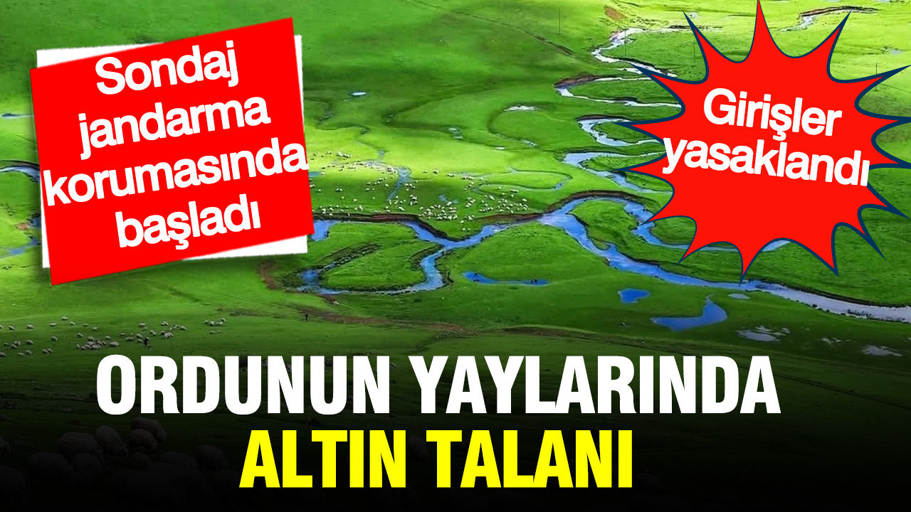 Ordunun yaylarında altın talanı: sondaj jandarma korumasında başladı, girişler yasaklandı