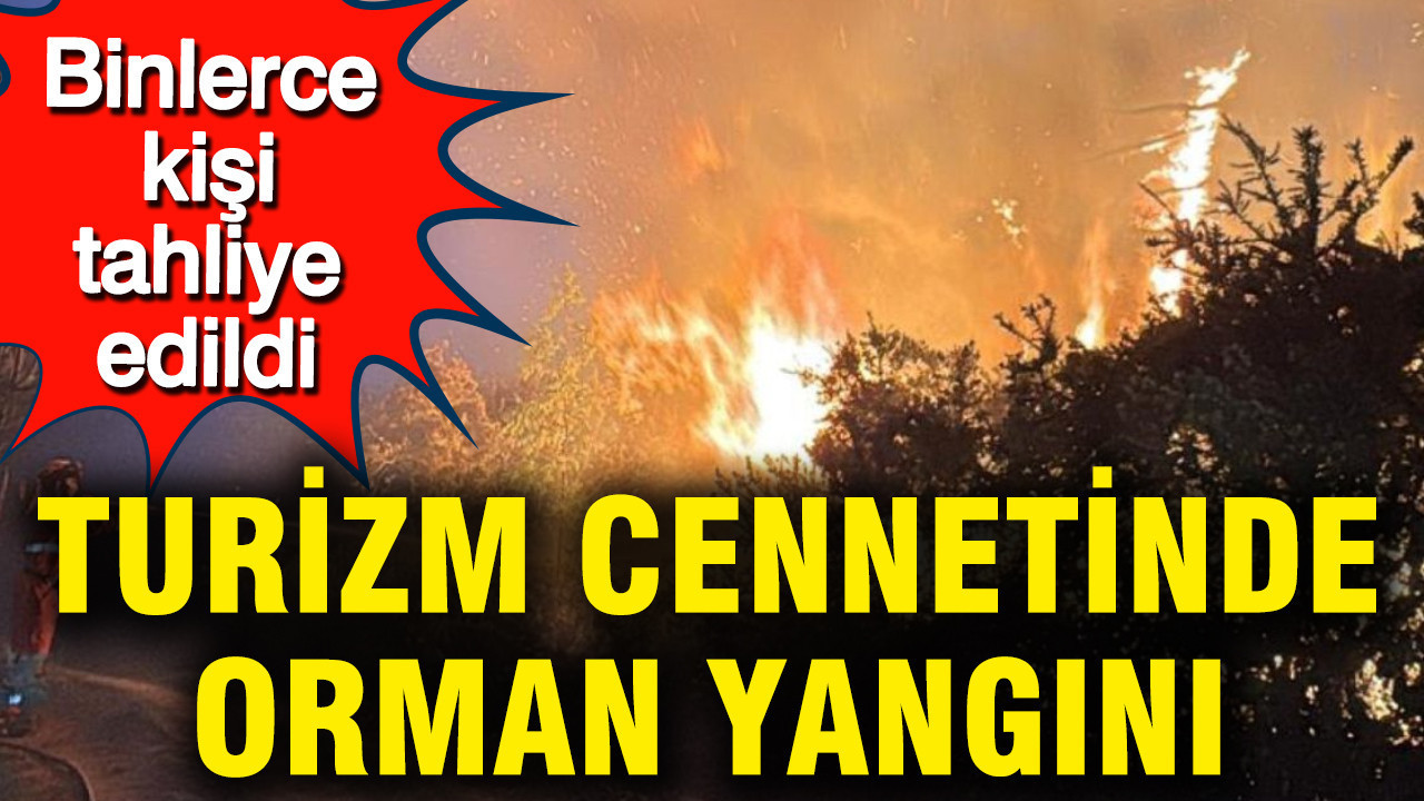 Turizm cennetinde orman yangını: Binlerce kişi tahliye edildi