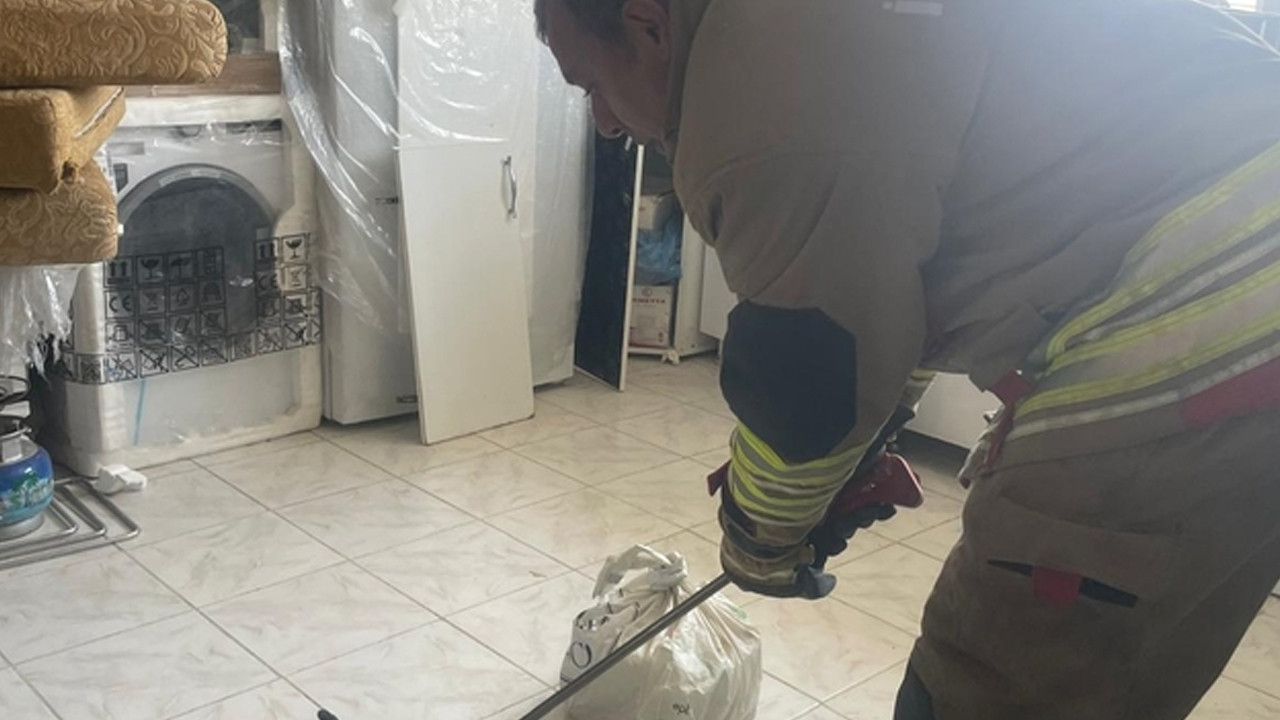Antakya’da eve giren yılanı itfaiye yakaladı