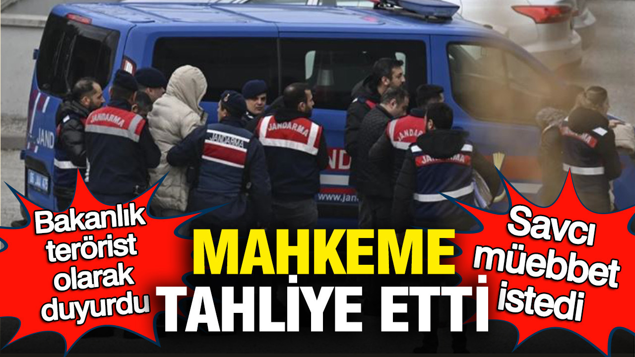 Bakanlık terörist olarak duyurdu: Savcı müebbet istedi, mahkeme tahliye etti
