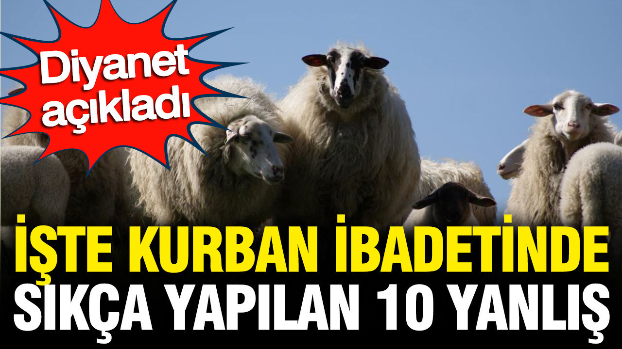 Diyanet açıkladı: İşte kurban ibadetinde sıkça yapılan 10 yanlış