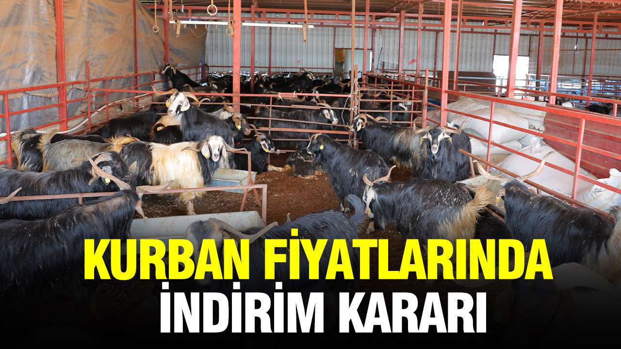 Kurban fiyatlarında indirim kararı