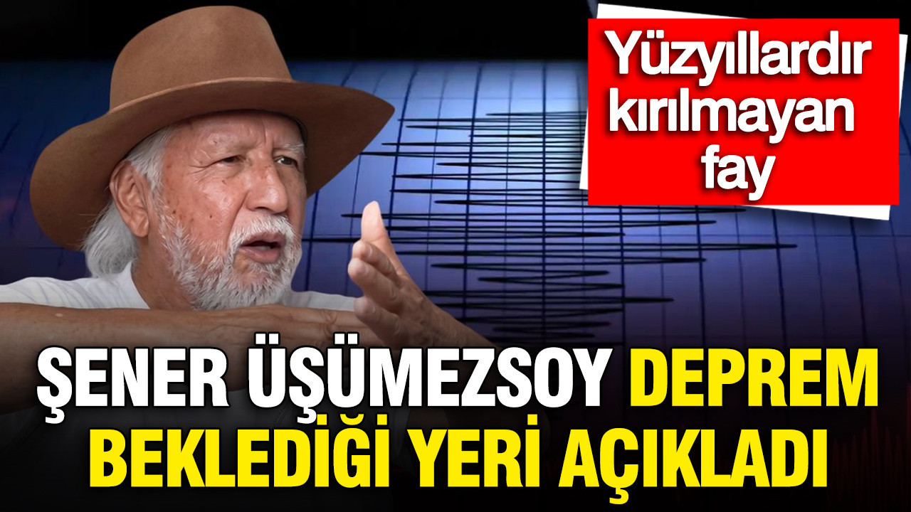 Prof. Dr. Şener Üşümezsoy deprem beklediği yeri açıkladı: Yüzyıllardır kırılmayan fay