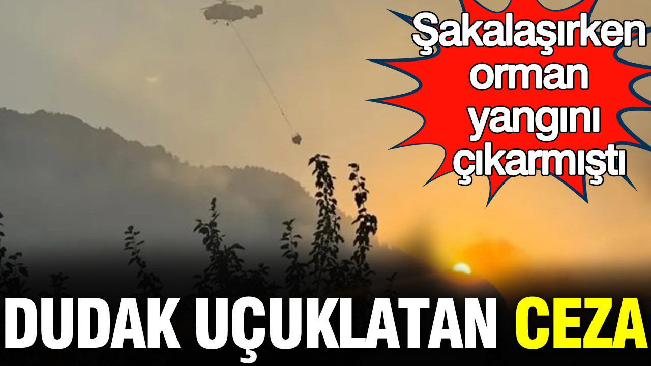 Şakalaşırken orman yangını çıkarmıştı: Dudak uçuklatan ceza