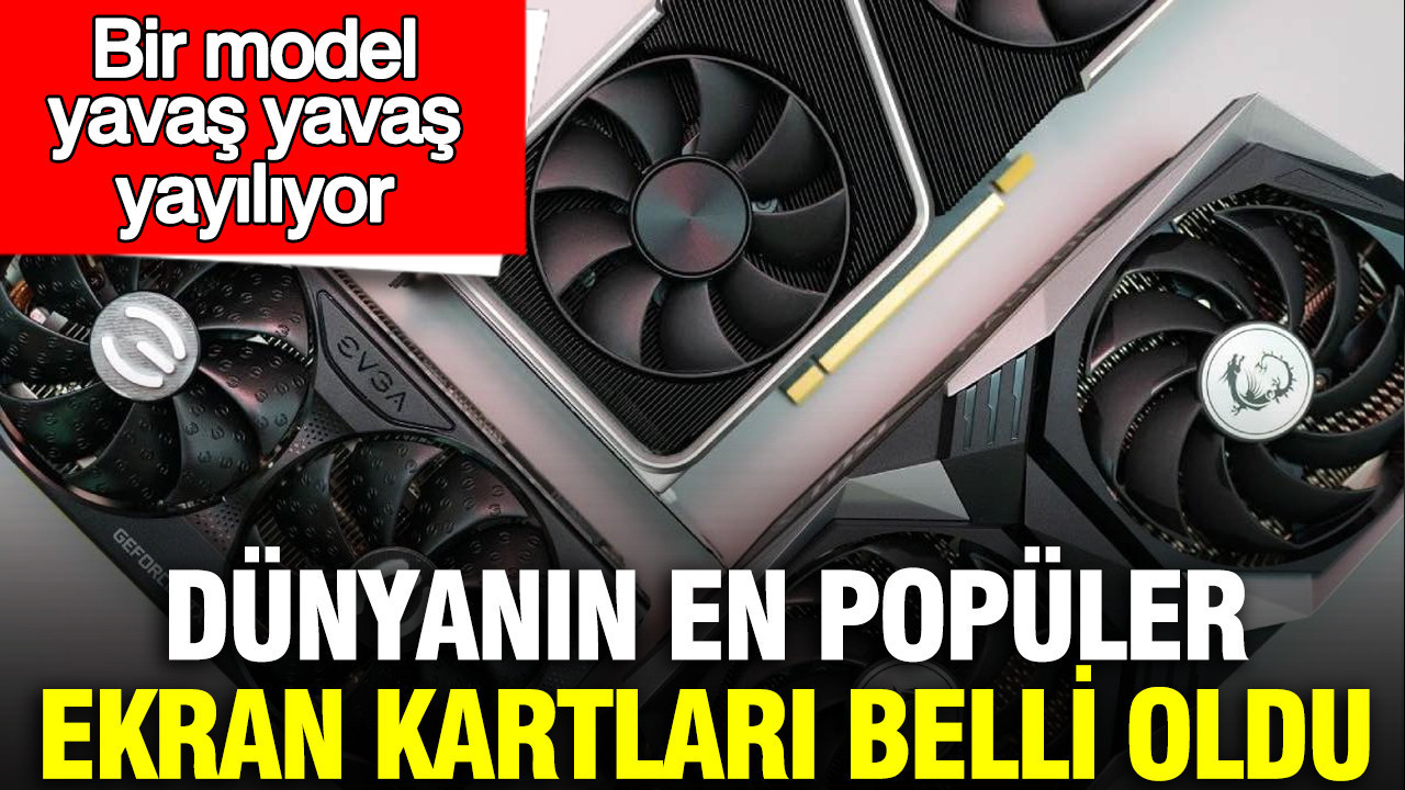 Dünyanın en popüler ekran kartları belli oldu: Bir model yavaş yavaş yayılıyor